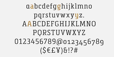 Card displaying Metronic Slab typeface in various styles