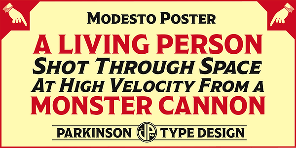 Card displaying Modesto typeface in various styles