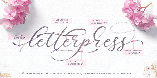 Card displaying Palomino typeface in various styles