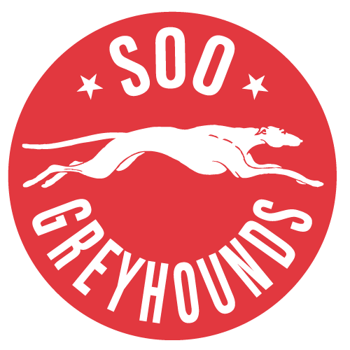 Greyhounds