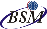 BSM Consultoria