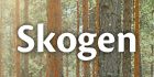 Skogen