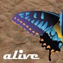 Alive Video Wallpaper