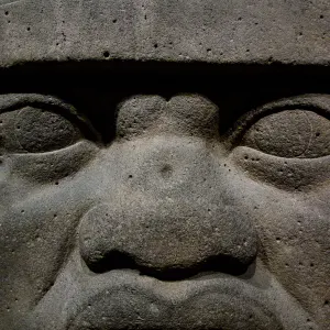 Olmec colossal head