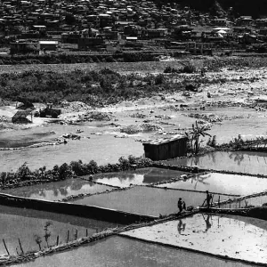 Figures in the rice paddies