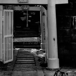 Cat coming out of Shinto shrine