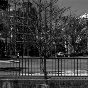 Woman calling in park