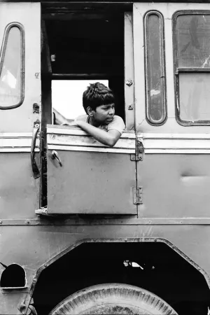 Boy leaning out of car window