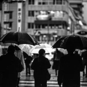 Many umbrellas in Hamanomachi