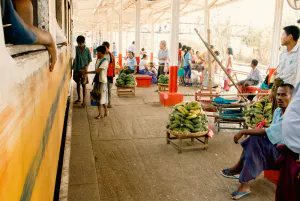 Bananas on  platform