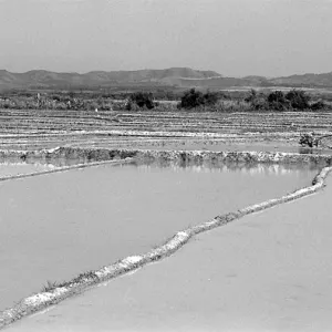 Water-laden paddies in Muang Sing