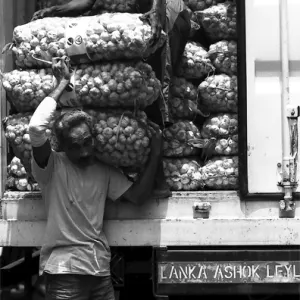 Man unloading from truck