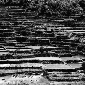 Rice terraces in Bontoc