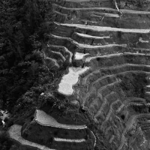 Rice paddies on steep slope