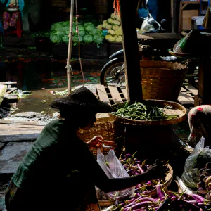 Woman selling eggplant at Da Nyin Gone Market