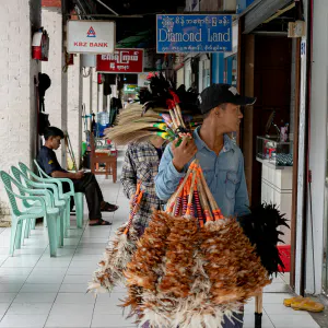 Man peddling various brooms