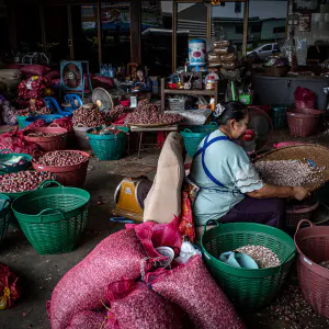 Woman sifting through garlic