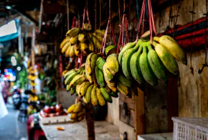 Bunches of bananas hung in the lane