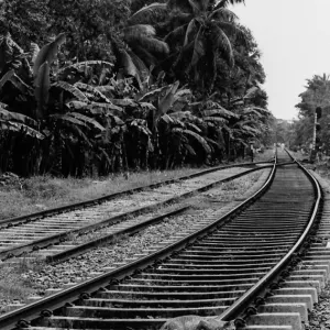 Cat crossing railway track