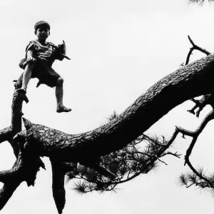 Boy climbing tree