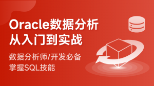 Oracle 全集 入门到项目实践