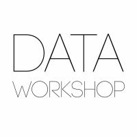 @dataworkshop