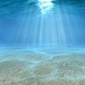 @water-fish-all