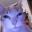 purrsec
