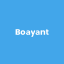 @boayant-dev