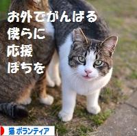 にほんブログ村 猫ブログ 猫 ボランティア・保護活動