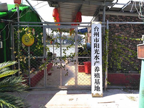 温州市鹿城区丰门街道丽波百货网店