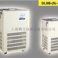 厂家供应低温冷却液循环泵DLSB-50L