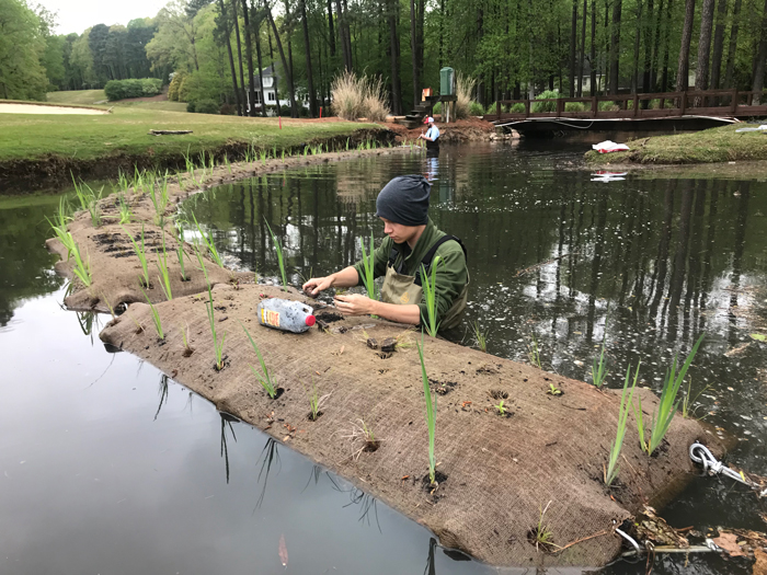 student conducting research in wetlands