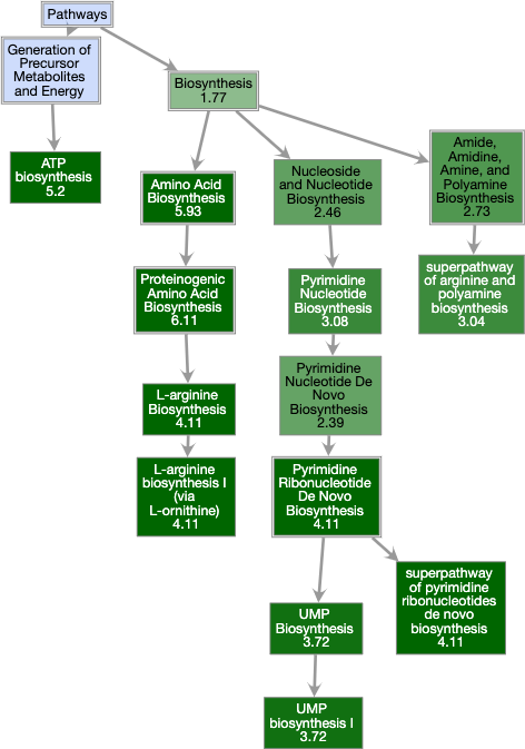 PToolsWebsiteHowto-images/enrich-ontology.png