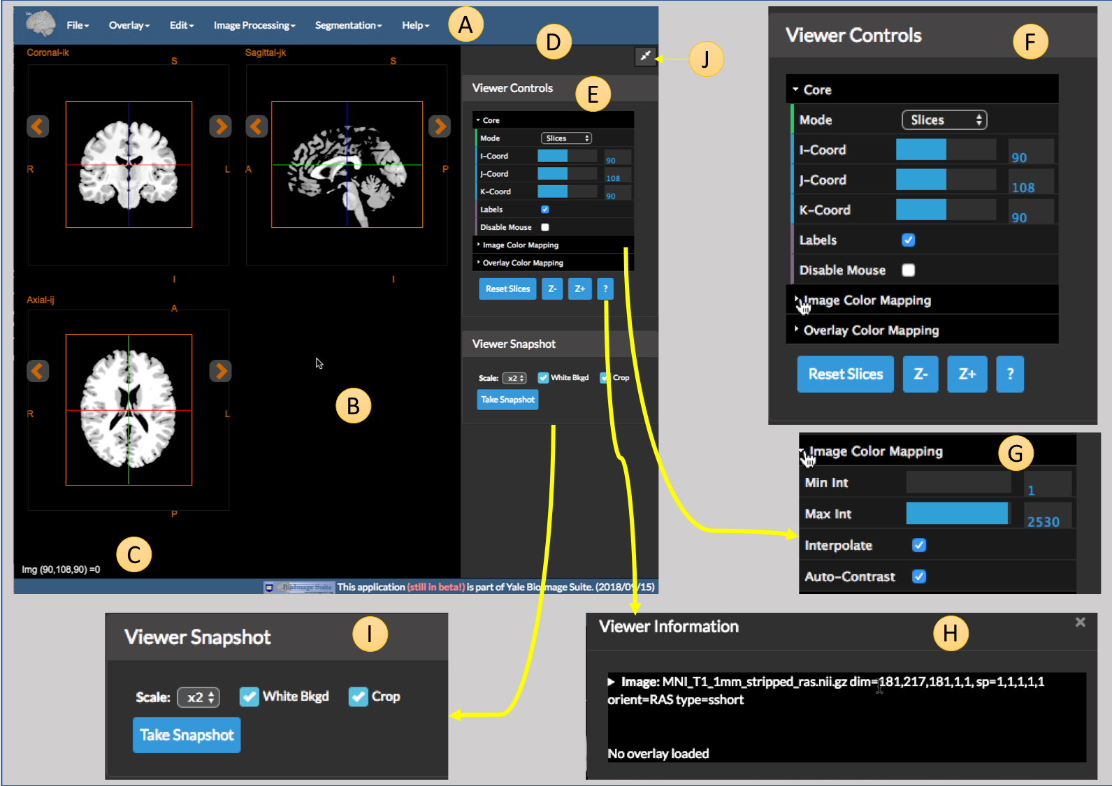 BioImage Suite Web Manual