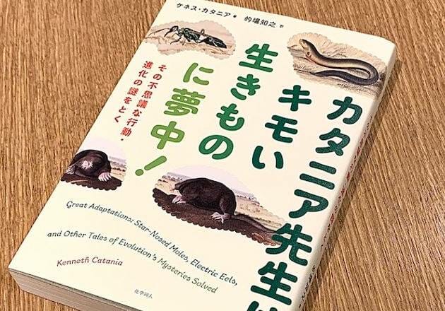 『カタニア先生は、キモい生きものに夢中！』（ケネス・カタニア著、的場知之訳、化学同人刊）