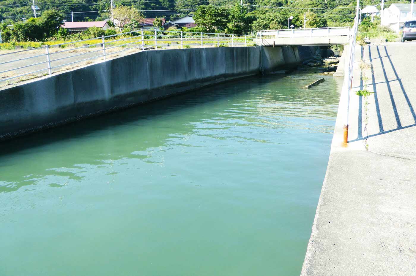 右側の堤防の流れ込み