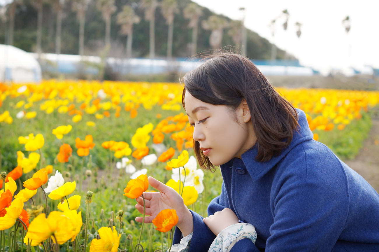 館山ファミリーパークでポピーと戯れる