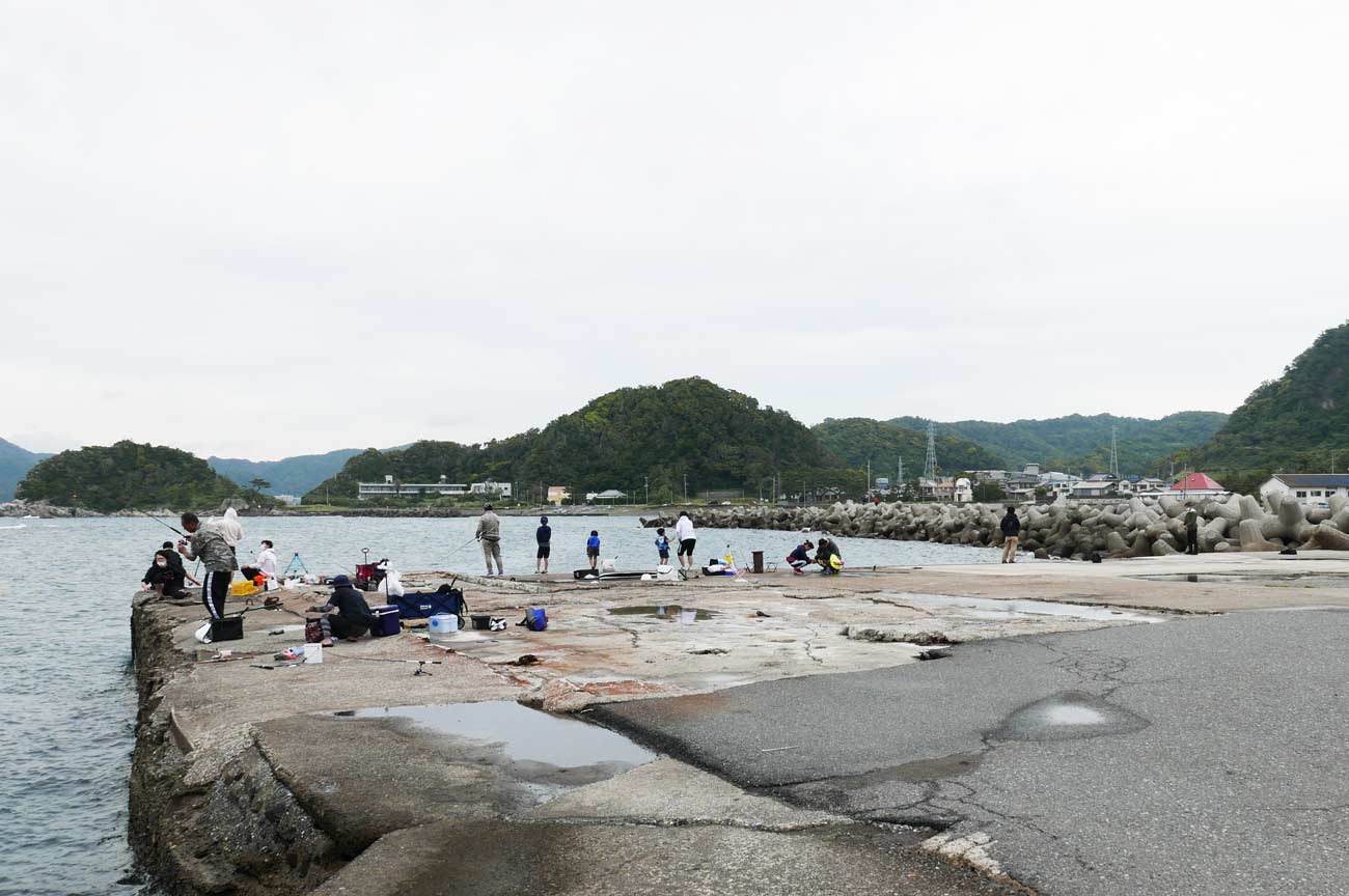 竜島港