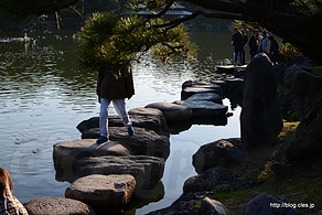 磯渡り - 清澄庭園の紅葉