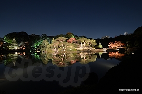 中の島 - 六義園 紅葉と大名庭園のライトアップ 2013 にいってきた