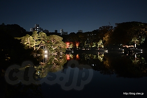 吹上茶屋方向からの中の島 - 六義園 紅葉と大名庭園のライトアップ 2013 にいってきた