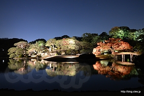 売店方向からの中の島 - 六義園 紅葉と大名庭園のライトアップ 2013 にいってきた