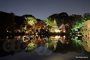 蓬莱島と吹上茶屋 - 六義園 紅葉と大名庭園のライトアップ 2013 にいってきた