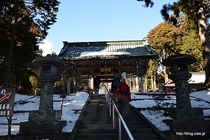 仁王門 - 久遠寺 奥之院と日蓮のお手植杉