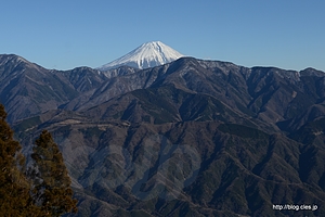 山頂からの富士山 - 久遠寺 奥之院と日蓮のお手植杉