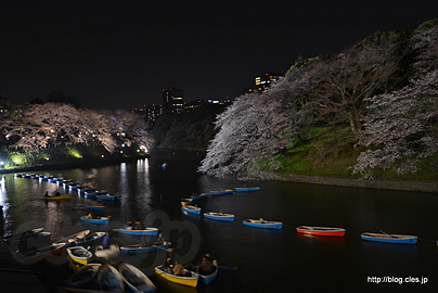 千鳥ヶ淵 ボート乗り場 （皇居方向） - 桜咲く千鳥ヶ淵 2015