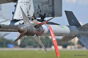 A-10 Thunderbolt II （OS 81-0959） AIM-9M - 横田基地日米友好祭 2015 の米軍機