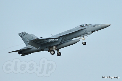 F/A-18 - NAF Atsugi Spring Festival 2016 （訓練？編）