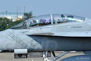 手を振る F/A-18 - NAF Atsugi Spring Festival 2016 （訓練？編）